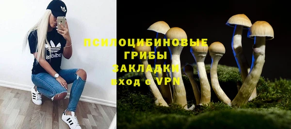 ПСИЛОЦИБИНОВЫЕ ГРИБЫ Богородск
