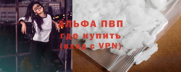 стафф Богородицк