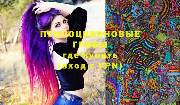 ПСИЛОЦИБИНОВЫЕ ГРИБЫ Богородск