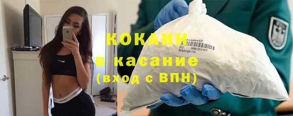 тгк Богданович