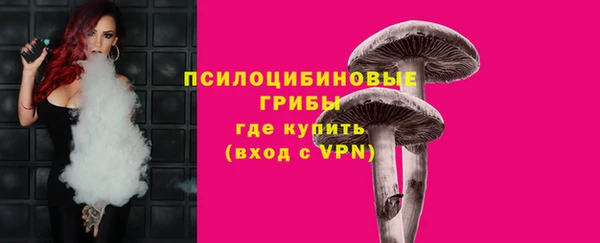 тгк Богданович