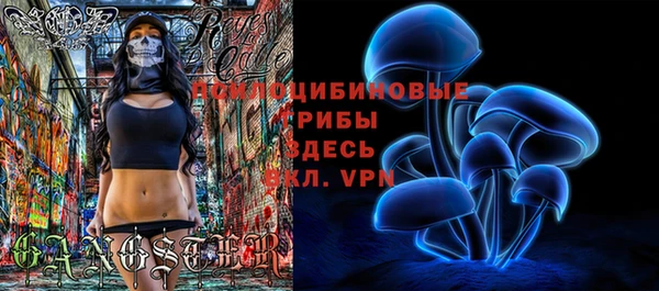 ПСИЛОЦИБИНОВЫЕ ГРИБЫ Богородск