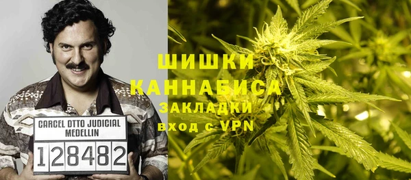 тгк Богданович