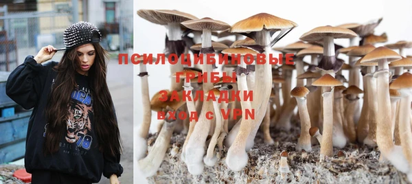 стафф Богородицк