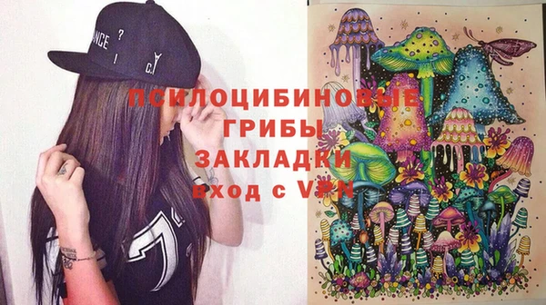 ПСИЛОЦИБИНОВЫЕ ГРИБЫ Богородск