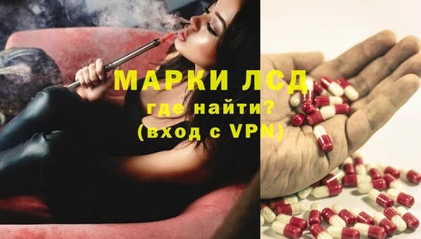 ПСИЛОЦИБИНОВЫЕ ГРИБЫ Богородск